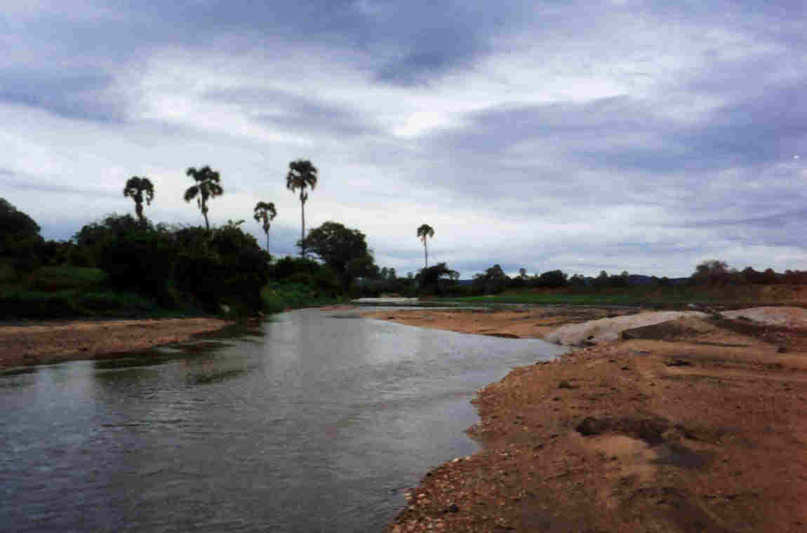 Great Ruaha River